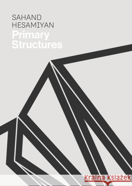 Sahand Hesamiyan: Primary Structures  9781912165506 Black Dog Press