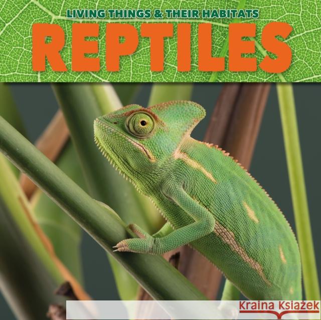 Reptiles Grace Jones 9781912171828