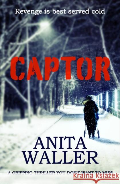 Captor: A Gripping Thriller You Don't Want to Miss Waller, Anita 9781912175956 Bloodhound Books