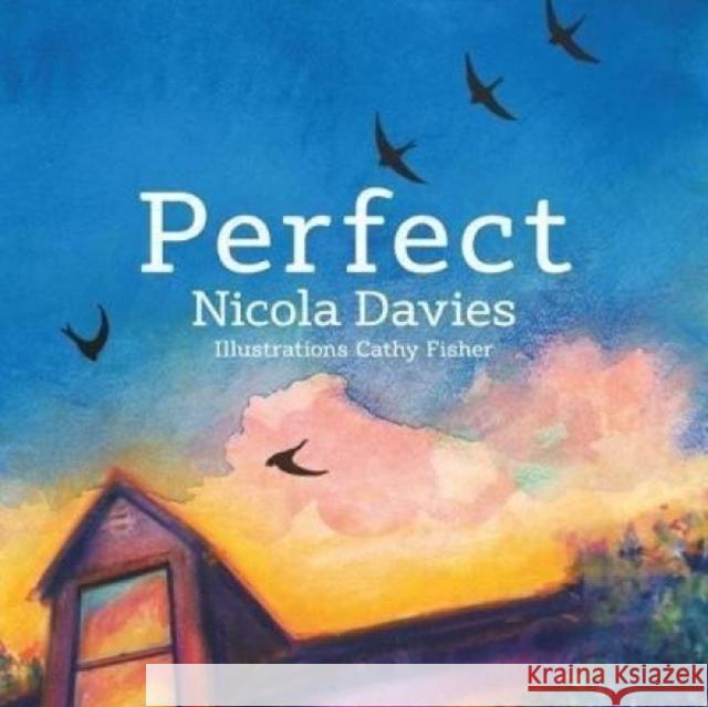Perfect Nicola Davies 9781912213498