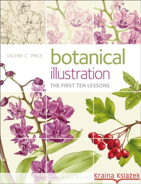 Botanical Illustration: The First Ten Lessons Valerie Price 9781912217151 Bloomsbury Publishing PLC