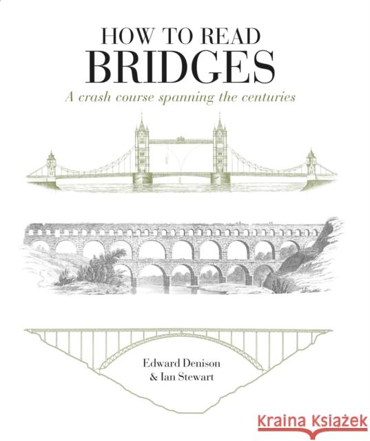 How to Read Bridges: A Crash Course Spanning the Centuries Ian Stewart 9781912217311