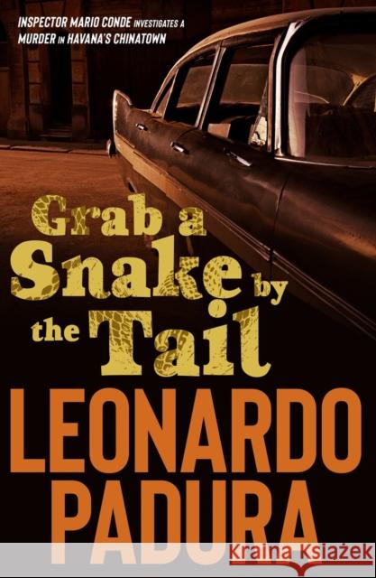 Grab a Snake by the Tail Leonardo Padura 9781912242177 Bitter Lemon Press