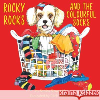 Rocky Rocks and the Colourful Socks Seniha Slowinski Nick Roberts 9781912262274 Clink Street Publishing