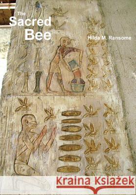 The Sacred Bee: In Ancient Times and Folklore Hilda M. Ransome 9781912271214 Northern Bee Books