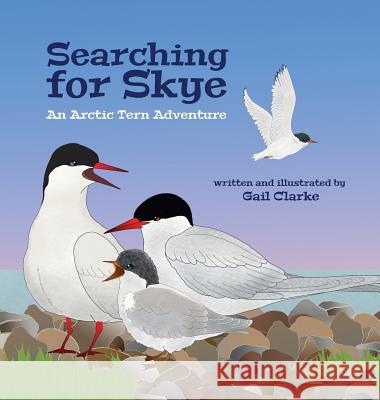 Searching for Skye: An Arctic Tern Adventure Gail Clarke 9781912406258 Gupole Publications