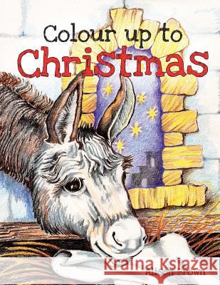 Colour up to Christmas Brown, Alison J. 9781912420216 Book Publishing Academy
