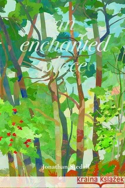 An Enchanted Place Jonathan Stedall 9781912480463 Hawthorn Press