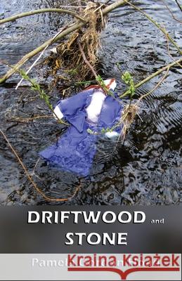 Driftwood and Stone Pamela Gordo 9781912513642 Silver Quill Publishing