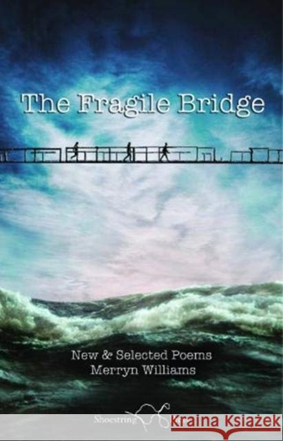 The Fragile Bridge Merryn Williams 9781912524259