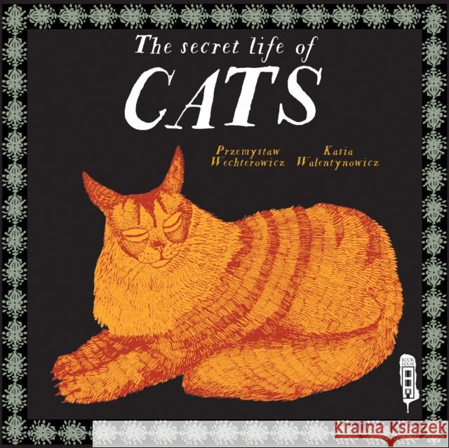 The Secret Lives of Cats Przemyslaw Wechterowicz 9781912537839 Salariya Book Company Ltd