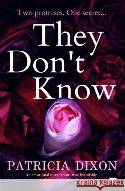 They Don't Know Patricia Dixon   9781912604609 Bloodhound Books