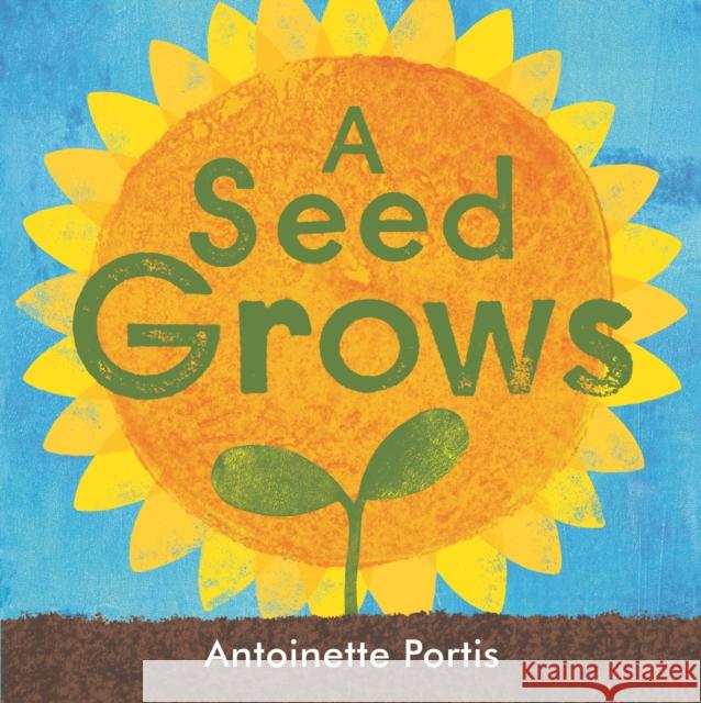 A seed grows Antoinette Portis 9781912650934 Scallywag Press