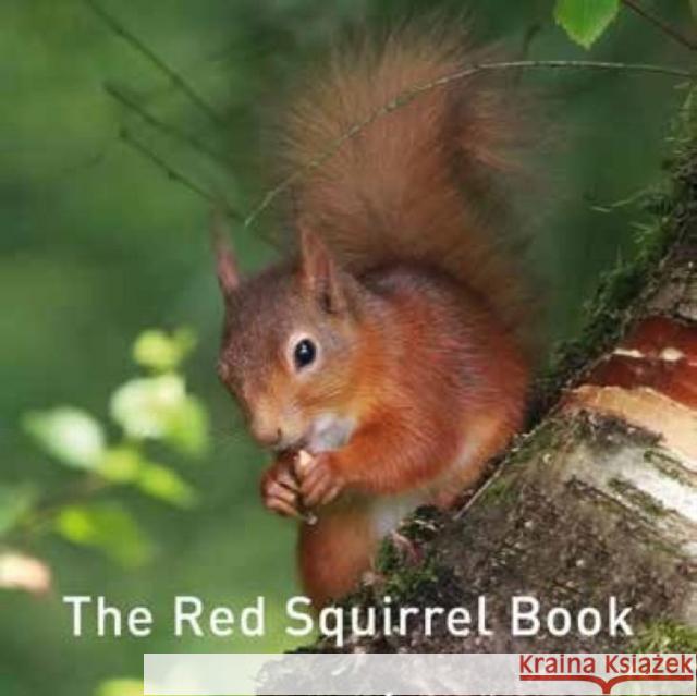 Nature Book Series: The Red Squirrel Book Jane Russ 9781912654178 Graffeg Limited