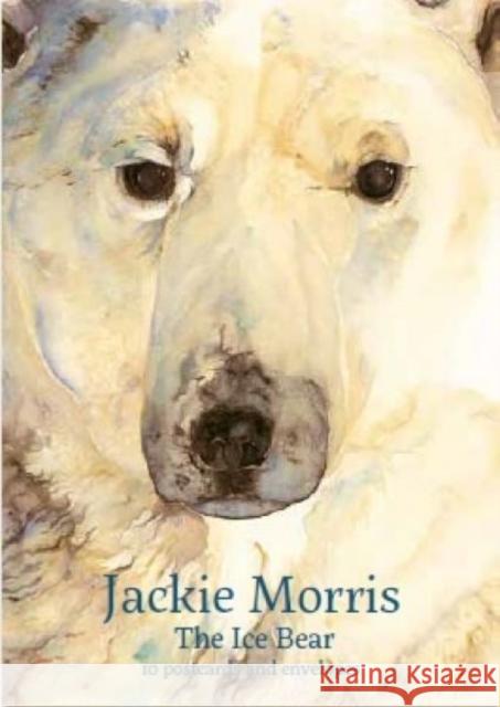 Jackie Morris Postcard Pack: The Ice Bear Jackie Morris 9781912654307 Graffeg Limited