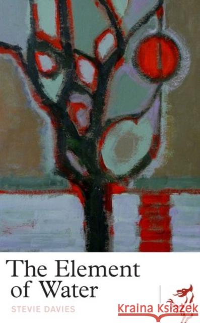 The Element of Water Stevie Davies 9781912681150