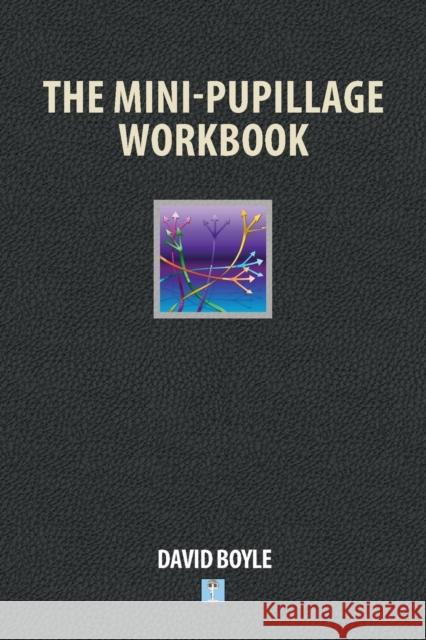 The Mini-Pupillage Workbook David Boyle 9781912687749 Law Brief Publishing Ltd