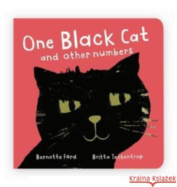 One Black Cat and other numbers Bernette Ford 9781912757596