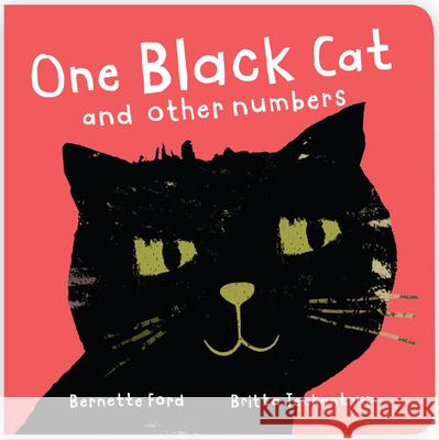 One Black Cat and Other Numbers Bernette Ford Britta Teckentrup 9781912757640 Boxer Books
