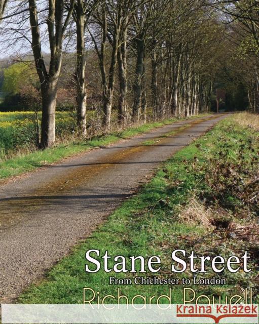 Stane Street: From Chichester to London Richard Powell 9781912777310 U P Publications