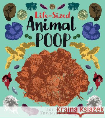 Life-Sized Animal Poop John Townsend 9781912904563 Book House