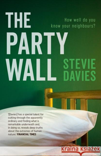 The Party Wall Stevie Davies 9781912905157