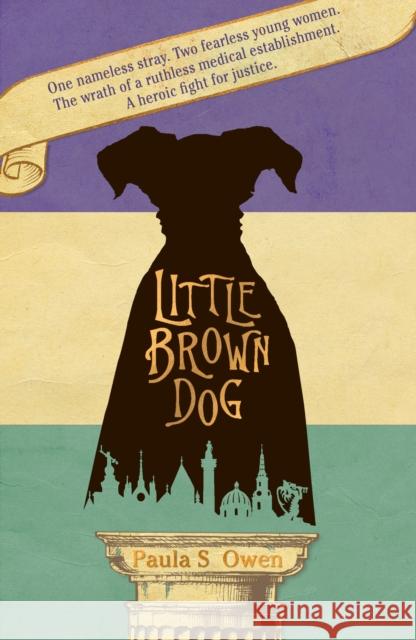 Little Brown Dog Paula S Owen 9781912905430