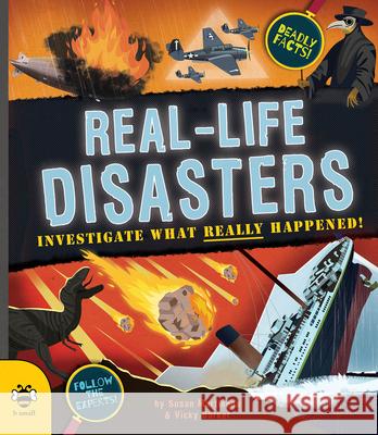 Real-life Disasters: Investigate What Really Happened! Susan Martineau 9781912909278 b small publishing limited