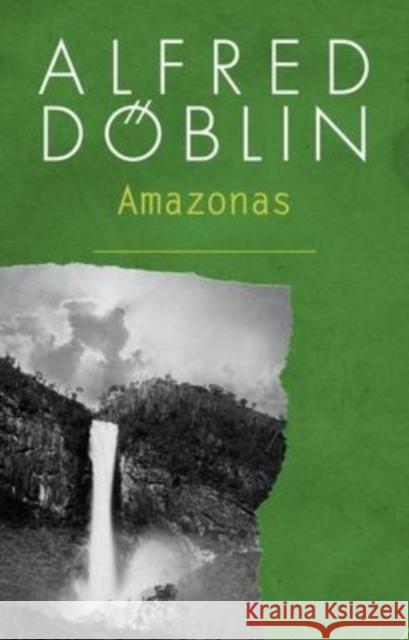 The Land Without Death: The Amazonas Trilogy Doblin, Alfred 9781912916825 Galileo Publishers