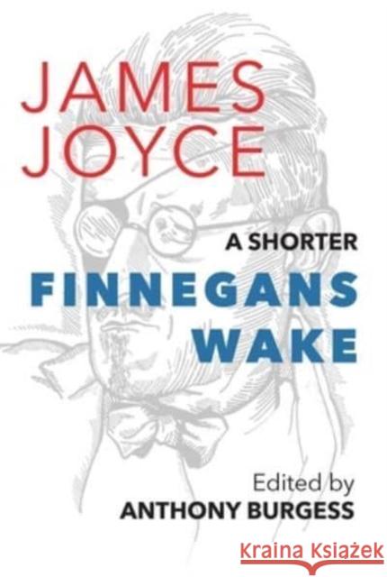 A Shorter Finnegans Wake James Joyce 9781912916931