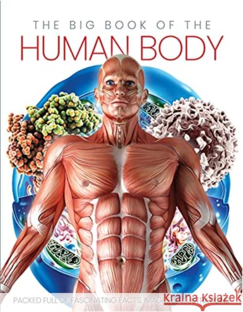 The Big Book of the Human body Katherine Marsh 9781912918744