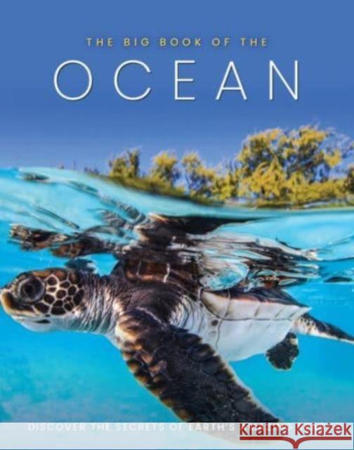 The Big Book of the Ocean Sona Books 9781912918782 Danann Media Publishing Limited