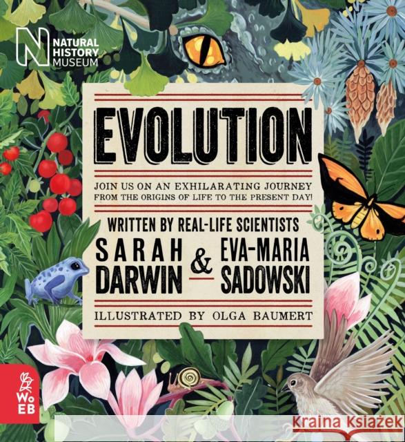 Evolution Eva Maria Sadowski 9781912920532