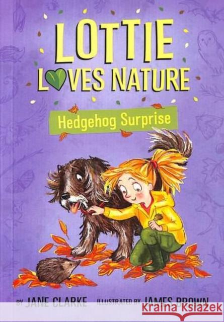 Lottie Loves Nature: Hedgehog Surprise Jane Clarke 9781912923106 Five Quills