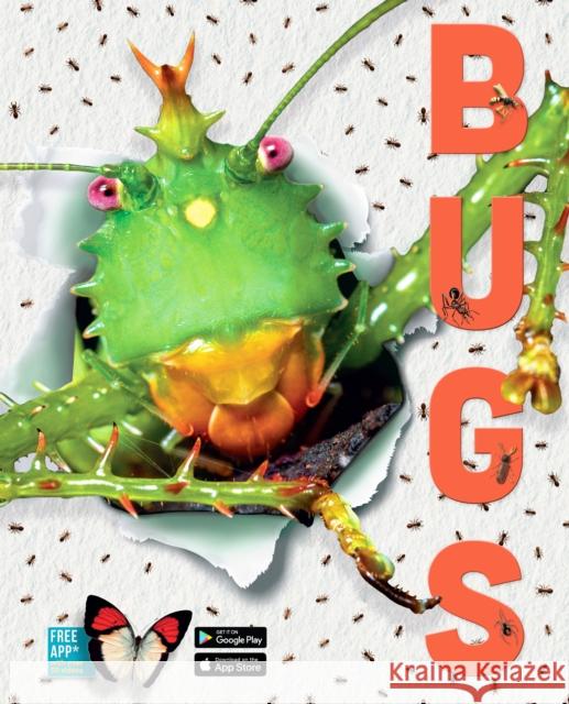 Bugs Elizabeth Cranford 9781912944286 NQ Publishers