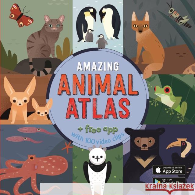 The Amazing Animal Atlas Anne McRae, Alexander Vidal 9781912944736