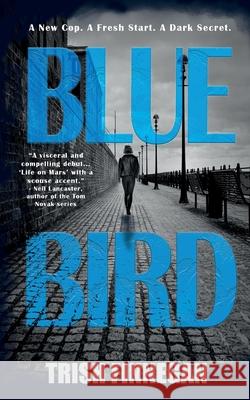 Blue Bird Trish Finnegan 9781912946136 Burning Chair Limited