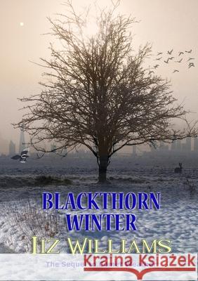 Blackthorn Winter Liz Williams 9781912950799 Newcon Press