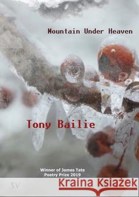 Mountain Under Heaven Tony Bailie 9781912963096