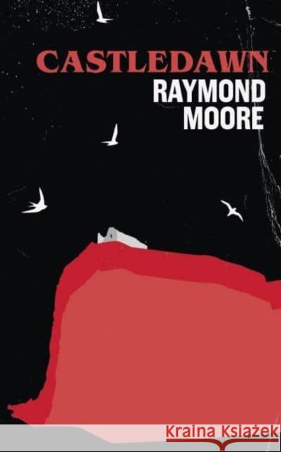 Castledawn Raymond Moore 9781912969593 Libri Publishing