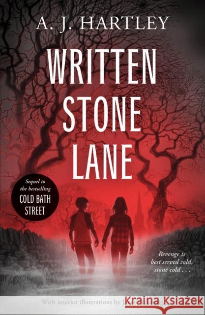 Written Stone Lane A.J. Hartley Janet Pickering  9781912979073