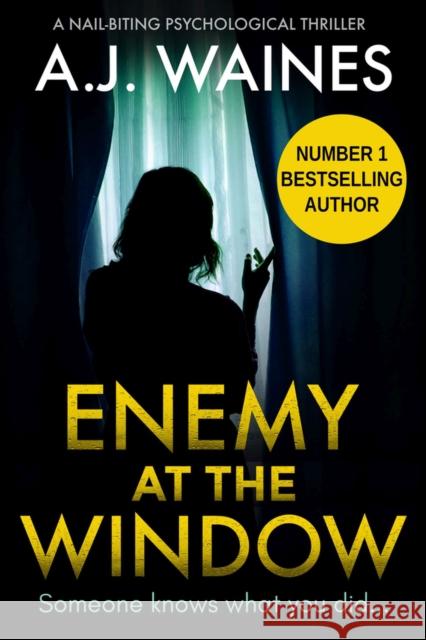 Enemy at the Window: A Nail-Biting Psychological Thriller Waines, Aj 9781912986323 Bloodhound Books
