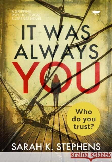 It Was Always You: A Gripping Psychological Suspense Novel Stephens, Sarah K. 9781912986729 Bloodhound Books