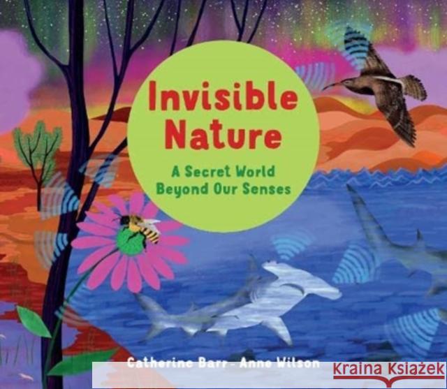 Invisible Nature: A Secret World Beyond our Senses Catherine Barr Anne Wilson  9781913074371 Otter-Barry Books Ltd