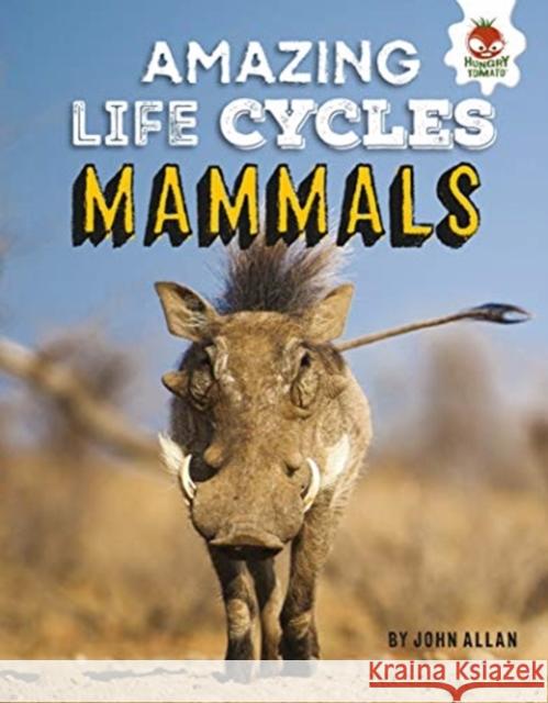 Amazing Life Cycles- Mammals John Allan 9781913077020