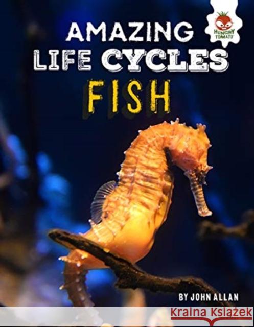 Amazing Life Cycles- Fish John Allan 9781913077037