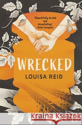 Wrecked Louisa Reid 9781913101879 Guppy Publishing Ltd