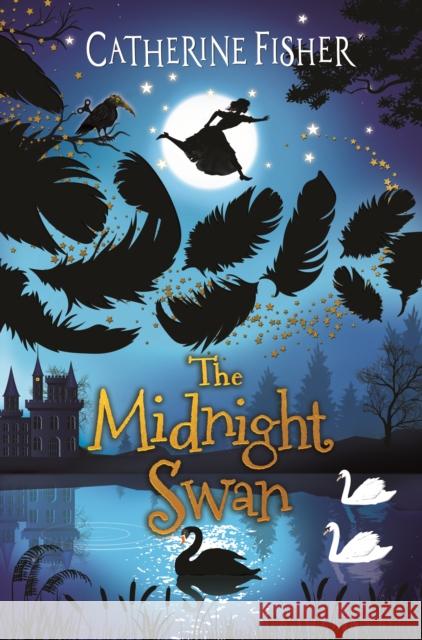 The Midnight Swan Catherine Fisher 9781913102371