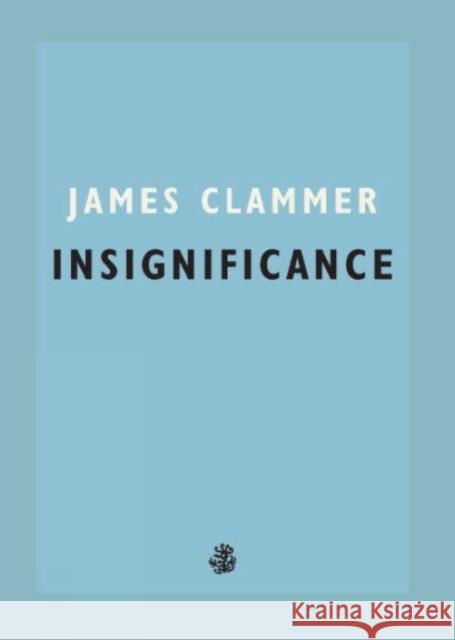 Insignificance James Clammer 9781913111069