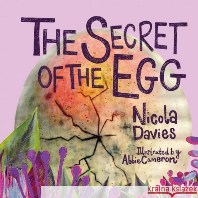 The Secret of the Egg Nicola Davies 9781913134600